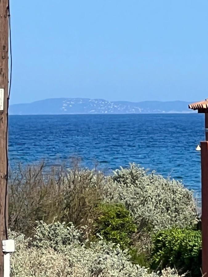 Plein Sud, bel appartement 20 mètres de la plage la Capte Hyères Extérieur photo